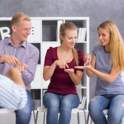 NZSL Level 1a Beginner Course